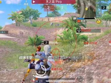 免费挂锁头透视锁血和平精英 - 自瞄整合增强包